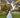Garden Reverie Gown